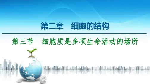 新教材浙科版必修第一册第2章 第3节 细胞质是多项生命活动的场所课件(93张)