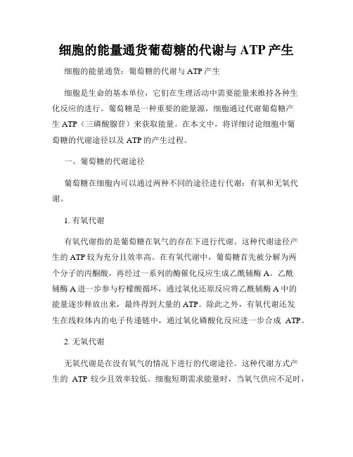 细胞的能量通货葡萄糖的代谢与ATP产生