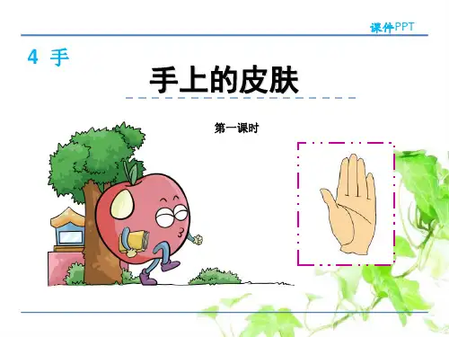 4.3  手上的皮肤