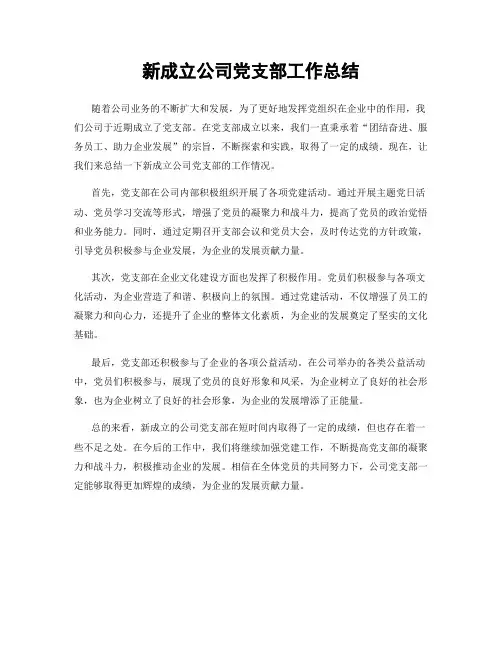新成立公司党支部工作总结