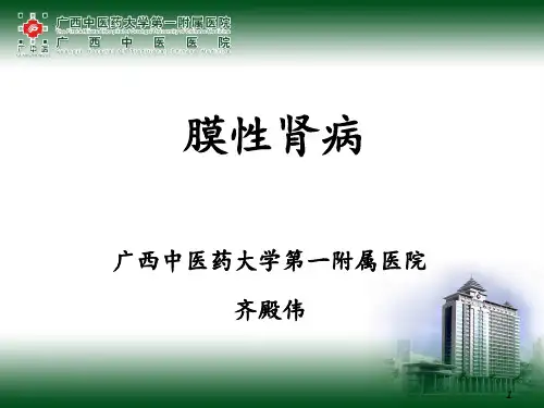 膜性肾病28994ppt课件