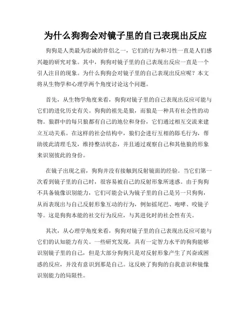 为什么狗狗会对镜子里的自己表现出反应