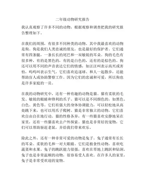 二年级动物研究报告