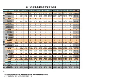 2015年度电商项目经营预算分析表暨2015年天猫运营计划预算分析表模板