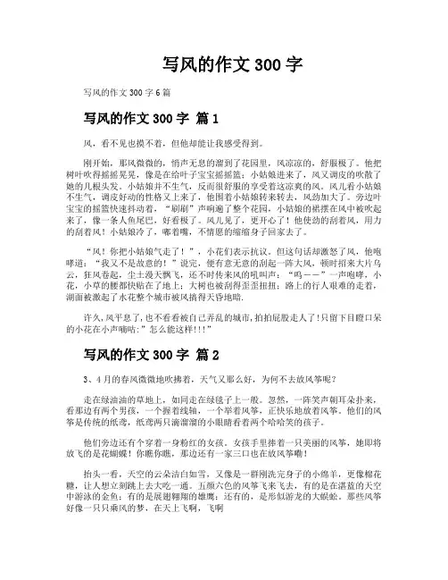写风的作文300字