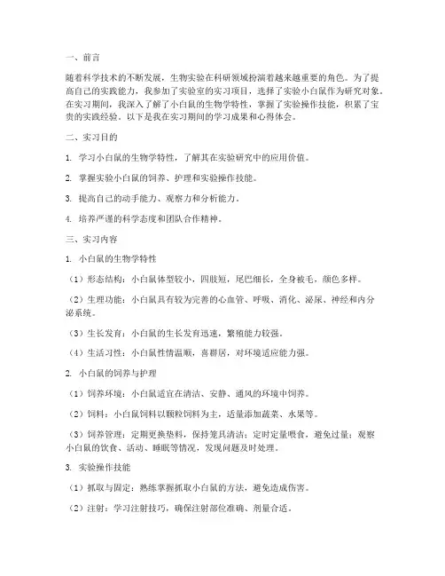 实验小白鼠实习报告