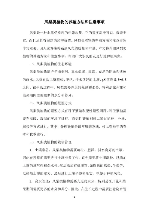凤梨类植物的养殖方法和注意事项