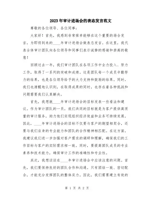 2023年审计进场会的表态发言范文