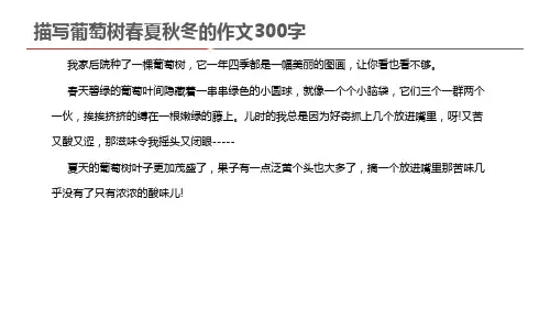 描写葡萄树春夏秋冬的作文300字