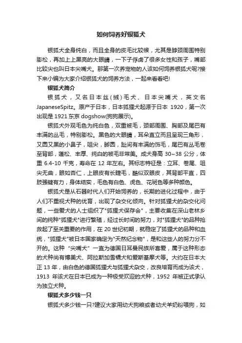 如何饲养好银狐犬