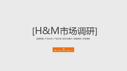 HM市场调研