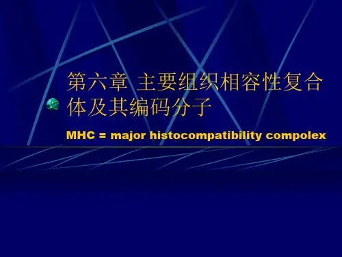 第五章主要组织相容性复合体