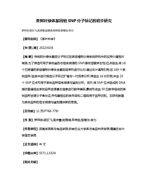 茶树叶绿体基因组SNP分子标记的初步研究