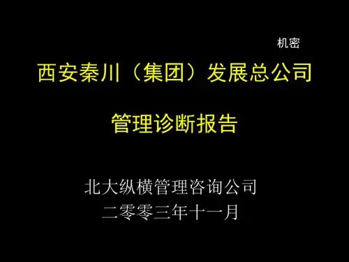 北大纵横-—西安秦川—管理诊断-10.23