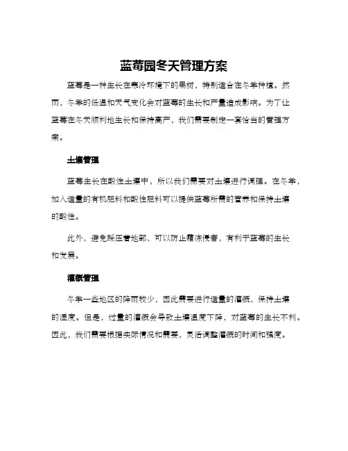 蓝莓园冬天管理方案