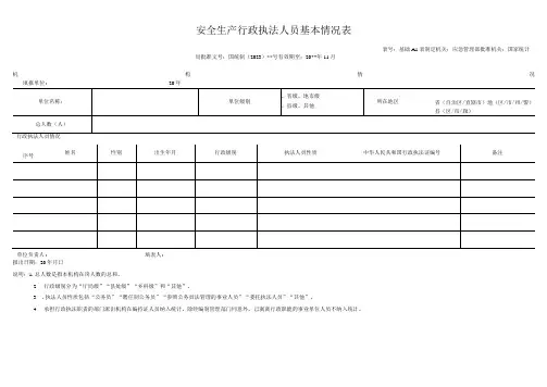 安全生产行政执法人员基本情况表