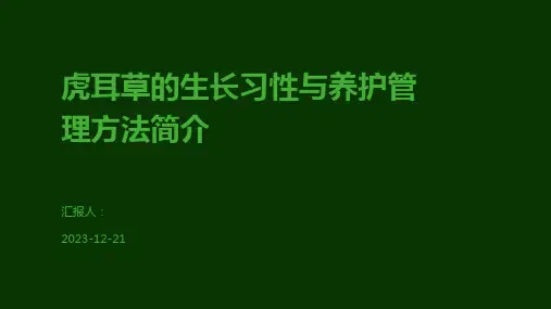虎耳草的生长习性与养护管理方法简介