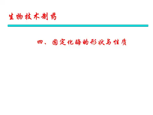 固定化酶的性质与评价
