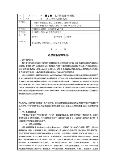 时间月日星期课题第6章62电子传递链(呼吸链)
