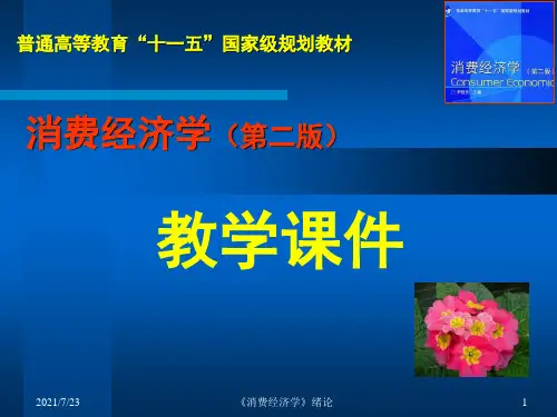 消费经济学(第二版) 尹世杰PPT课件