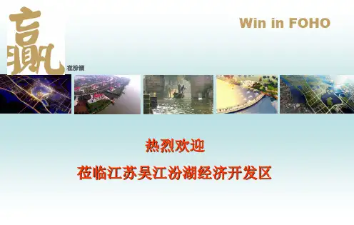 汾湖经济开发区简介