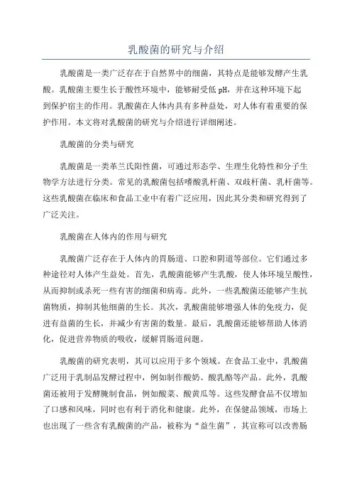 乳酸菌的研究与介绍