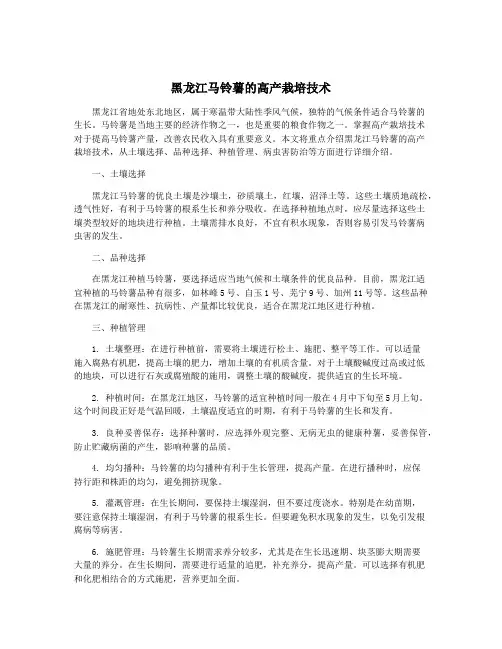 黑龙江马铃薯的高产栽培技术