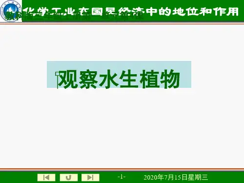 教科版科学三年级上册一4观察水生植物