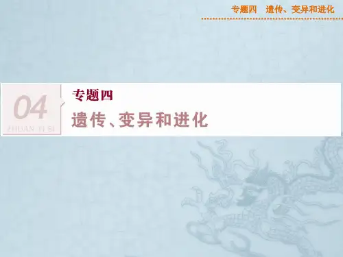 高考生物二轮专题复习课件专题四第1讲 遗传的物质基础(49张PPT)