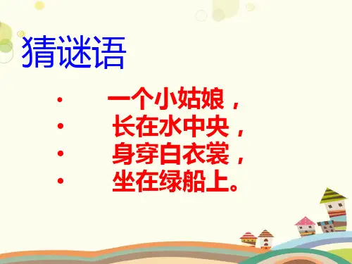 人教版三年级语文下册《荷花》-PPT课件