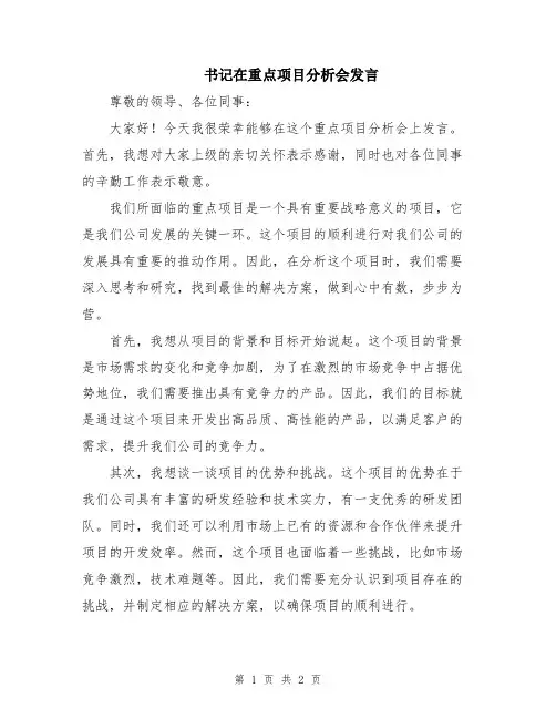 书记在重点项目分析会发言