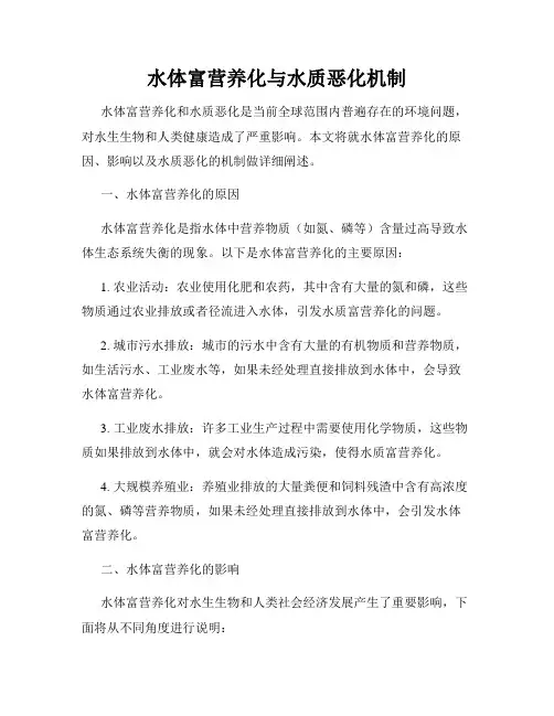 水体富营养化与水质恶化机制