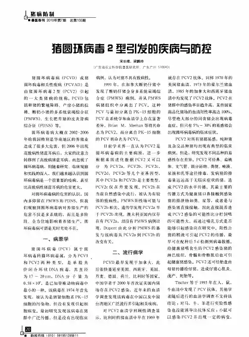 猪圆环病毒2型引发的疾病与防控