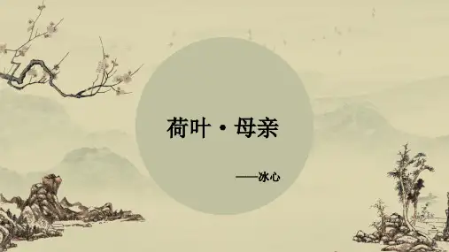 初中课文冰心《荷叶 母亲》课件PPT