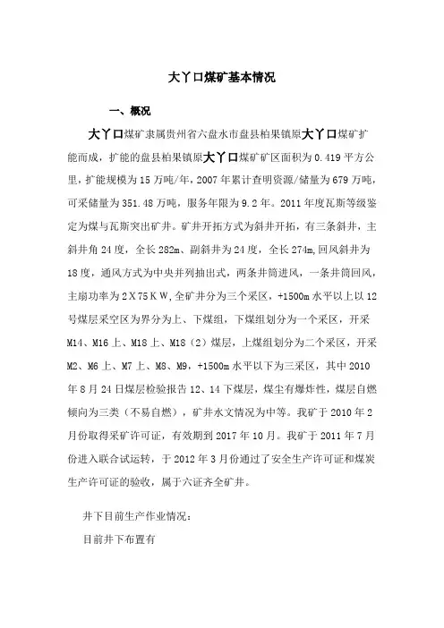 大丫口煤矿基本情况
