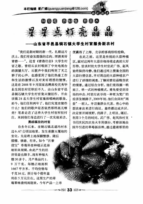 星星点灯亮晶晶——山东省平邑县铜石镇大学生村官服务新农村