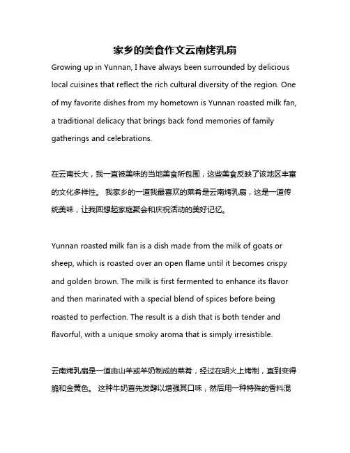家乡的美食作文云南烤乳扇