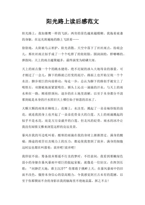 阳光路上读后感