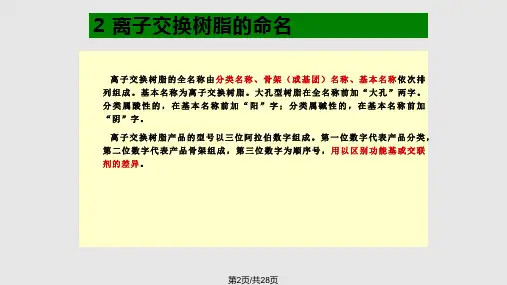 离子交换除盐.pptx