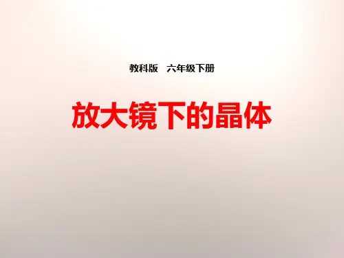 《放大镜下的晶体》教科版六年级科学下册课件ppt文档(7篇)
