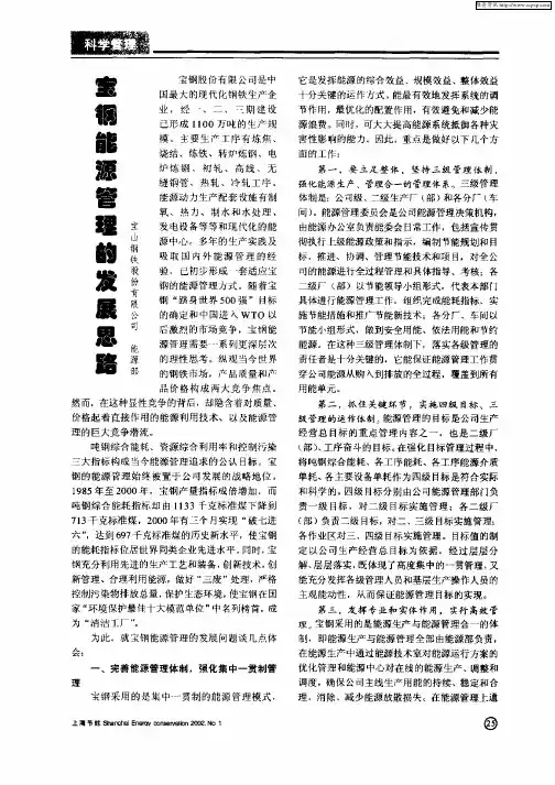 宝钢能源管理的发展思路