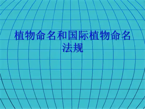 植物命名和国际植物命名法规(共77张PPT)