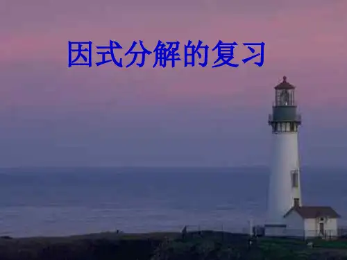 因式分解的复习PPT课件(华师大版)：