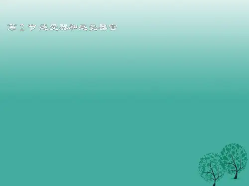 七年级生物下册 12_2《感受器和感觉器官》 北师大版