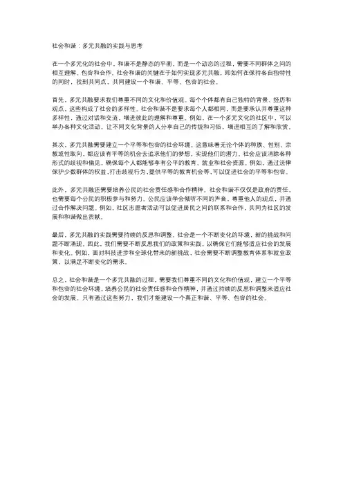  社会和谐：多元共融的实践与思考