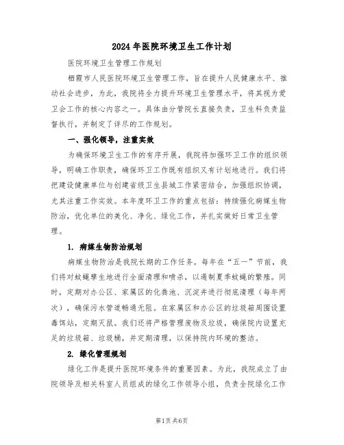 2024年医院环境卫生工作计划（三篇）
