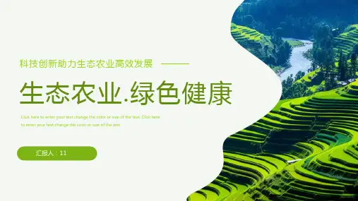 绿色生态农业绿色健康乡村振兴PPT模版