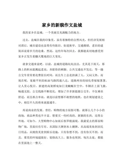 家乡的新貌作文盐城