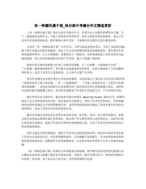 有一种颜色属于我_哈尔滨中考满分作文精选赏析