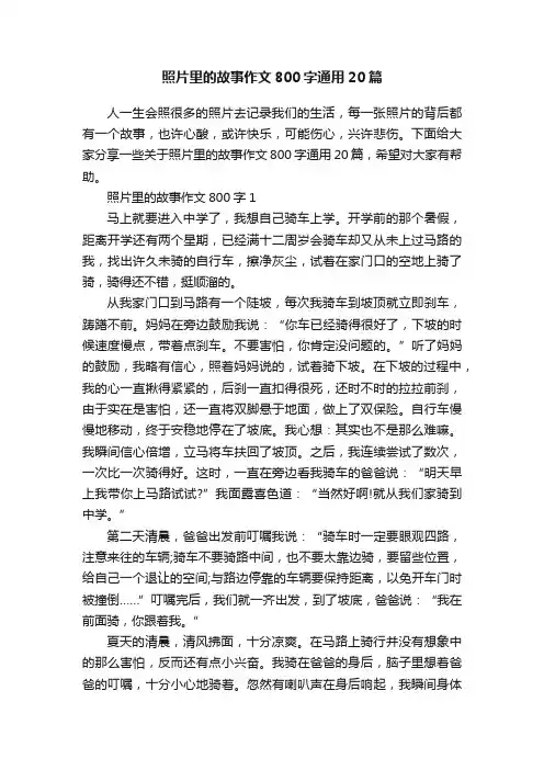 照片里的故事作文800字通用20篇